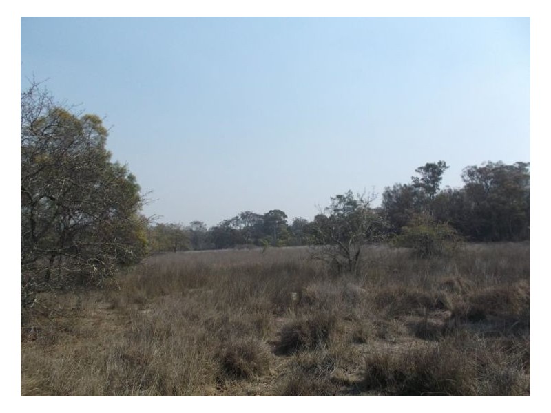 70 Hoey Lane, Thorndale QLD 4380