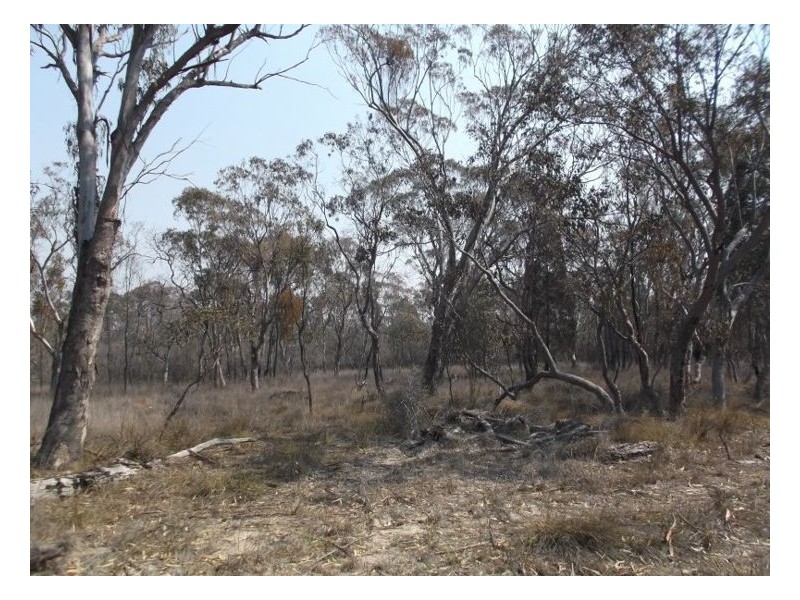 70 Hoey Lane, Thorndale QLD 4380