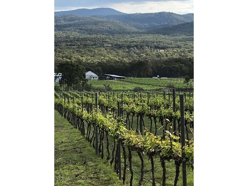 221 Old Wallangarra Road, Wyberba QLD 4382