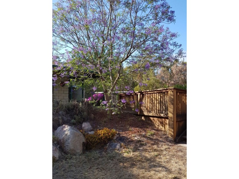 199 Browns Lane, Stanthorpe QLD 4380