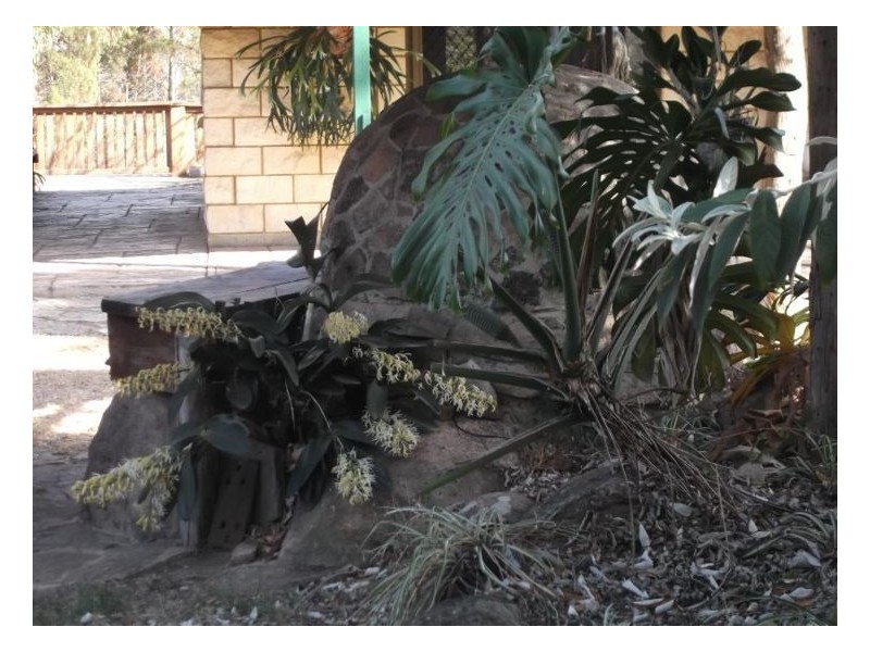 199 Browns Lane, Stanthorpe QLD 4380