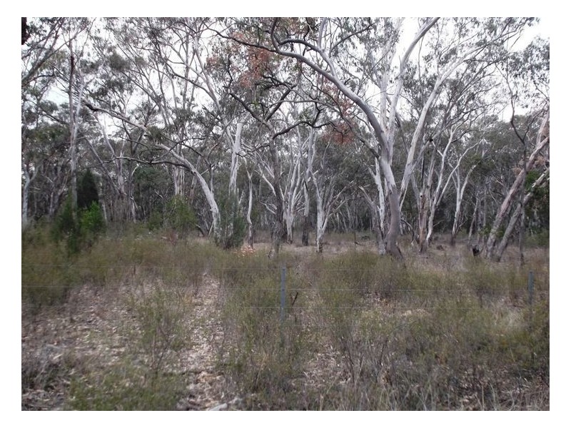 470 Jimmy Mann Road, Broadwater QLD 4380