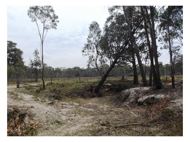 470 Jimmy Mann Road, Broadwater QLD 4380