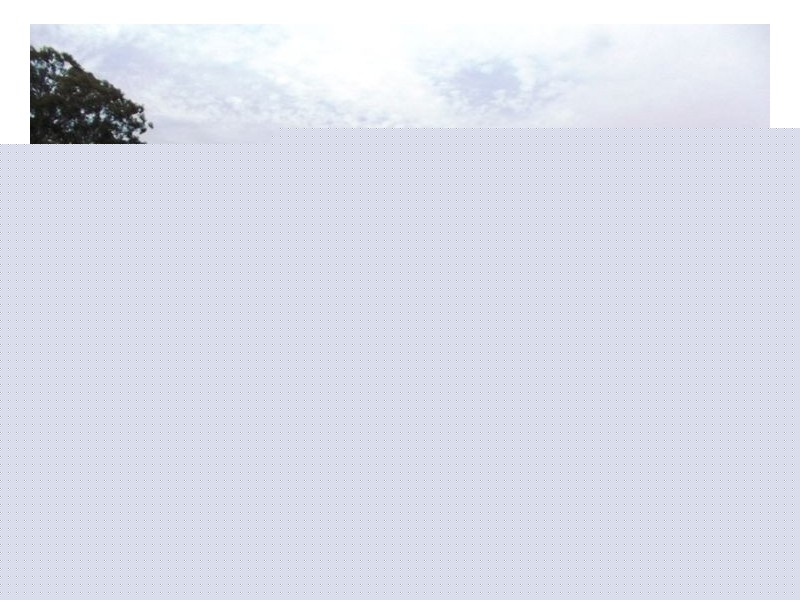 470 Jimmy Mann Road, Broadwater QLD 4380