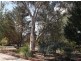 58 Sugarloaf Road, Stanthorpe QLD 4380