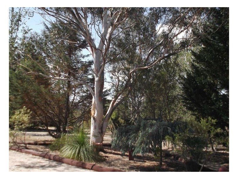 58 Sugarloaf Road, Stanthorpe QLD 4380