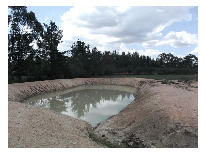 81 Back Creek Road, Severnlea QLD 4380