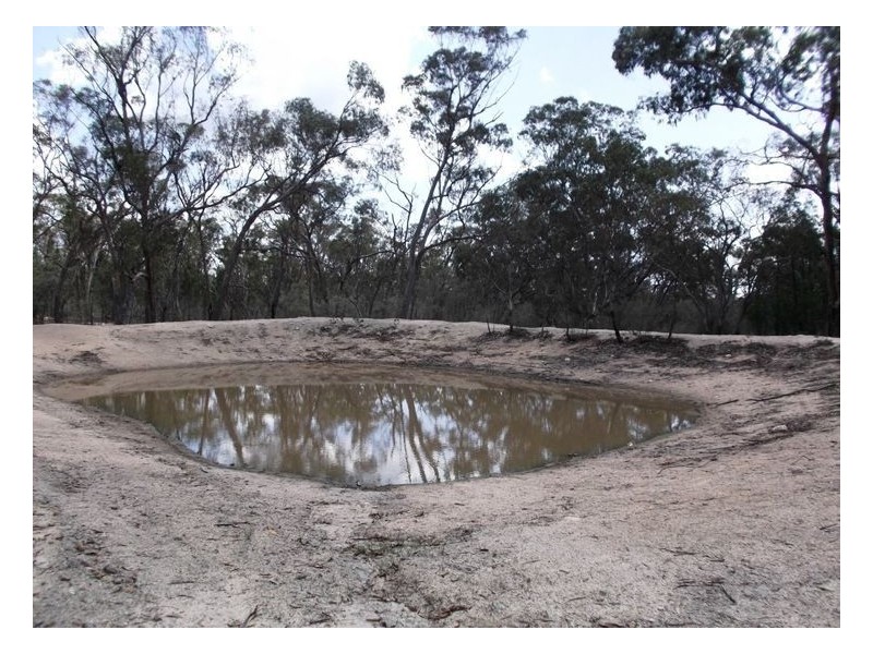 81 Back Creek Road, Severnlea QLD 4380