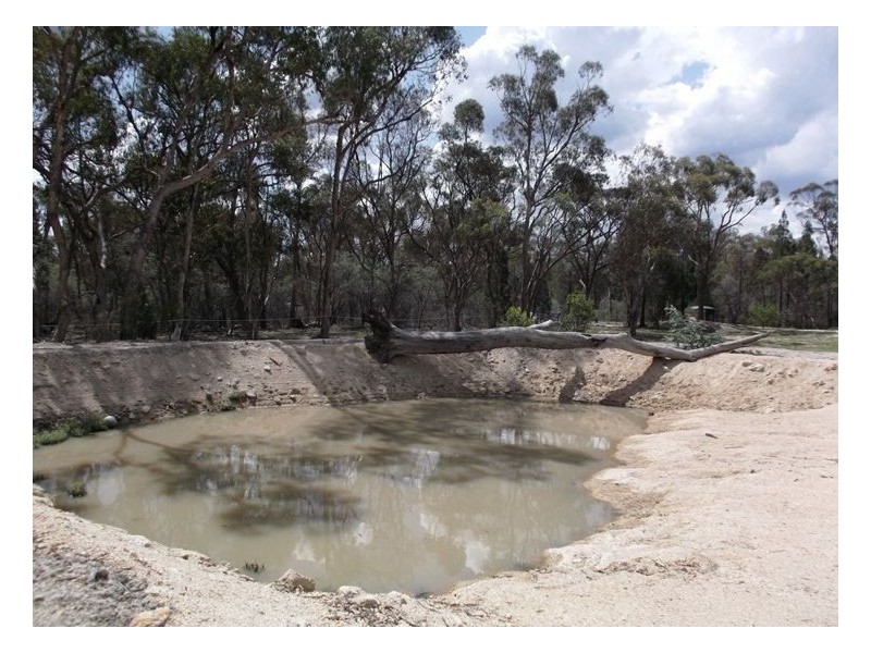 81 Back Creek Road, Severnlea QLD 4380