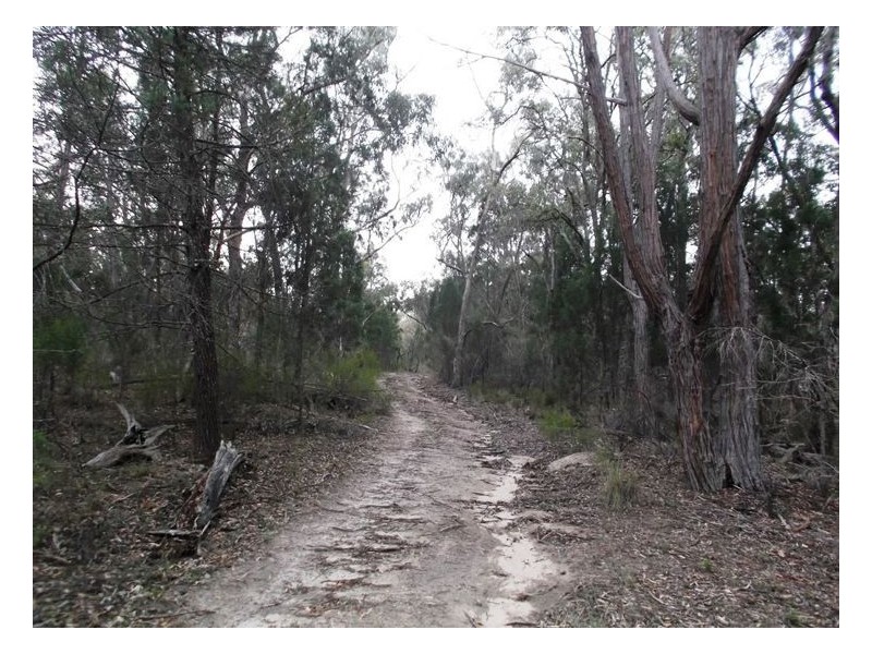 97 Browns Lane, Greenlands QLD 4380