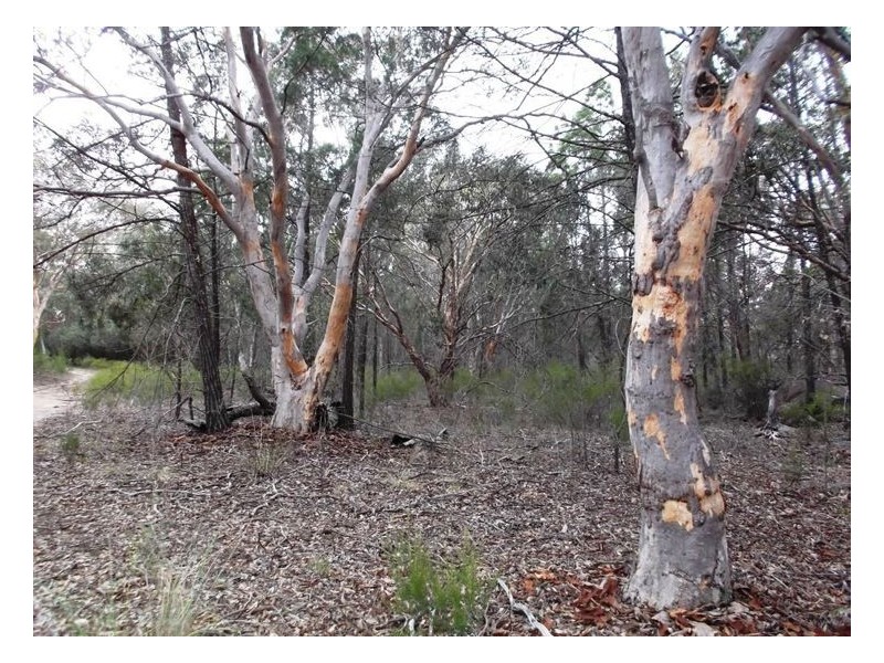 97 Browns Lane, Greenlands QLD 4380