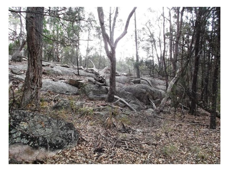 97 Browns Lane, Greenlands QLD 4380