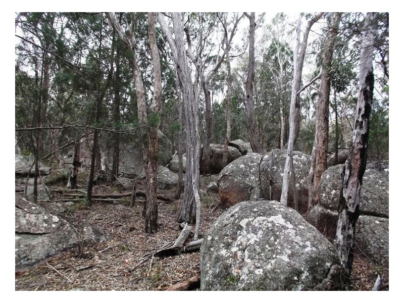 97 Browns Lane, Greenlands QLD 4380