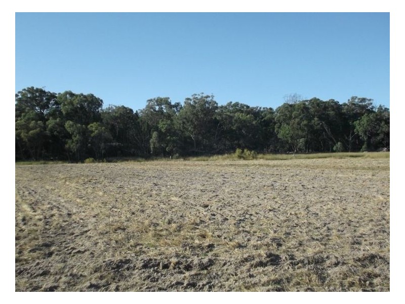 350 Spring Creek Road, Amiens QLD 4380