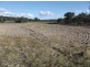 350 Spring Creek Road, Amiens QLD 4380