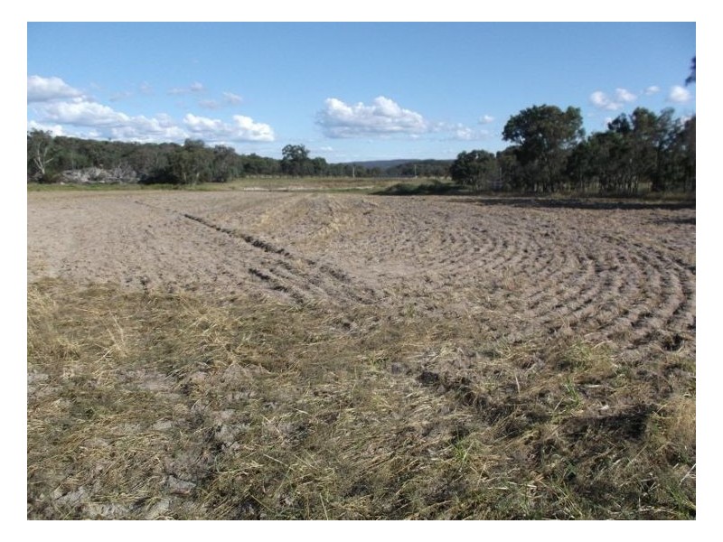 350 Spring Creek Road, Amiens QLD 4380