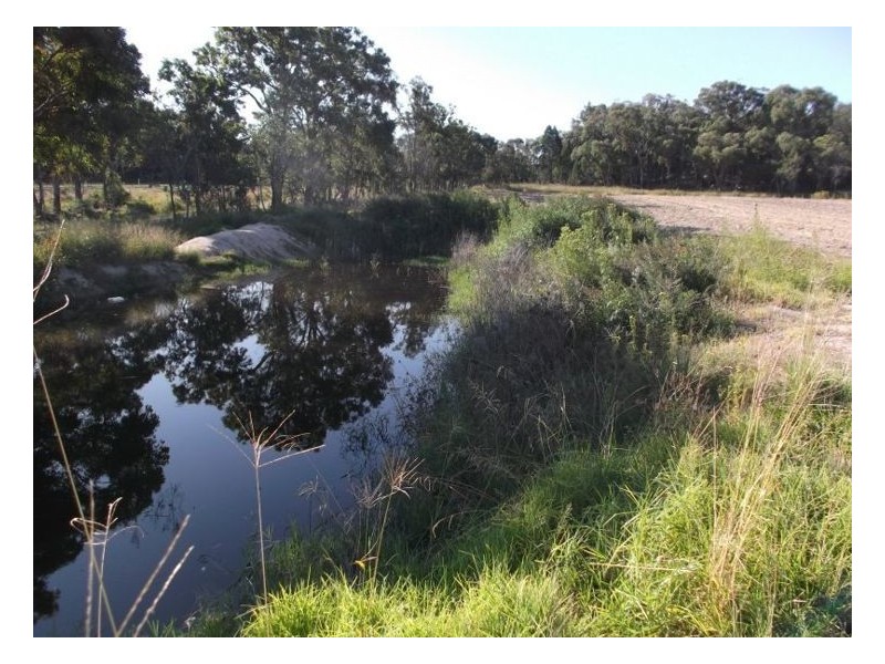 350 Spring Creek Road, Amiens QLD 4380