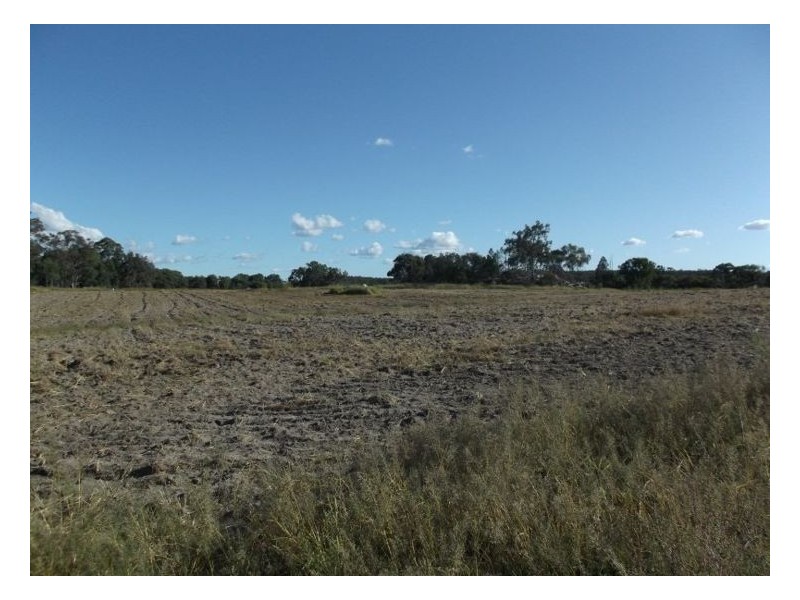 350 Spring Creek Road, Amiens QLD 4380