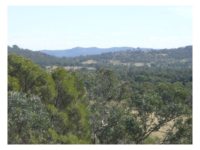 Lot 9 Saxby Road, Ballandean QLD 4382