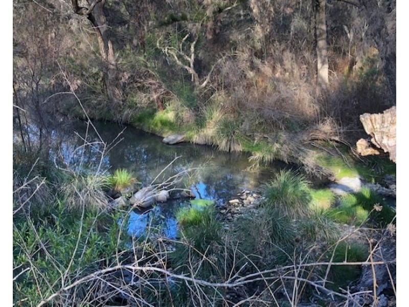 2421 Pyramids Road, Wyberba QLD 4382