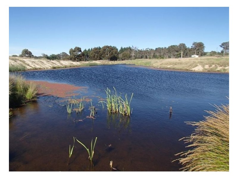 117 Church Road, The Summit QLD 4377