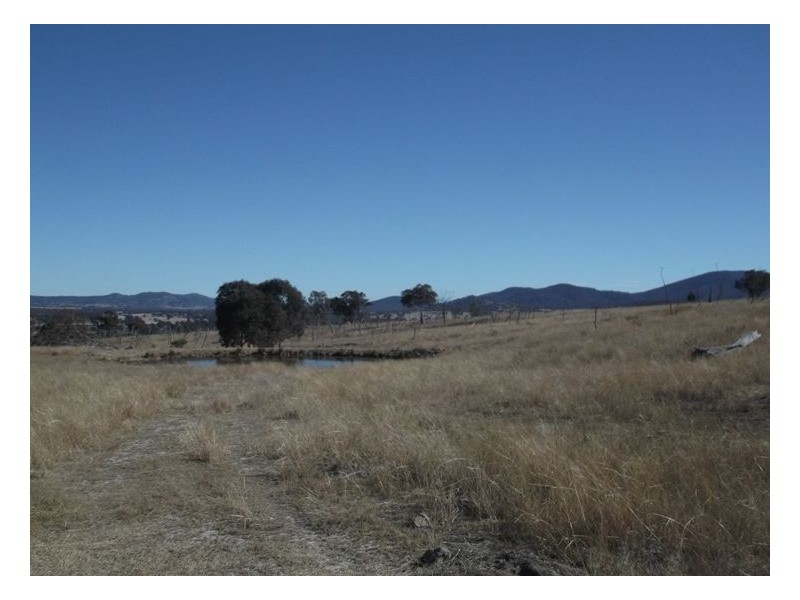 Lot 563 Tarban Road, Tenterfield NSW 2372