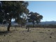 Lot 563 Tarban Road, Tenterfield NSW 2372