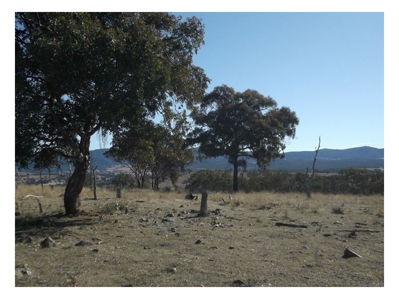 Lot 563 Tarban Road, Tenterfield NSW 2372