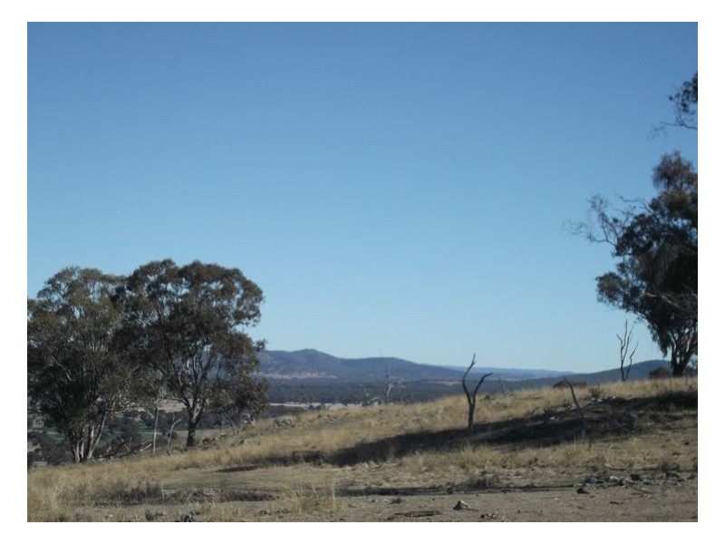 Lot 563 Tarban Road, Tenterfield NSW 2372