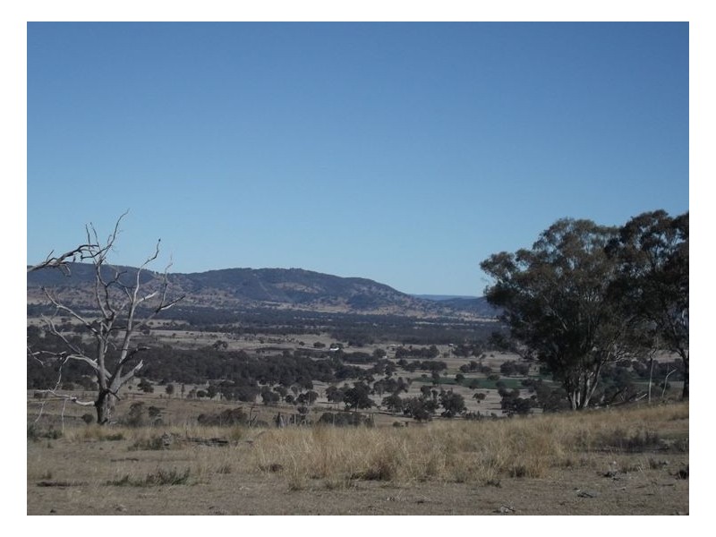 Lot 563 Tarban Road, Tenterfield NSW 2372