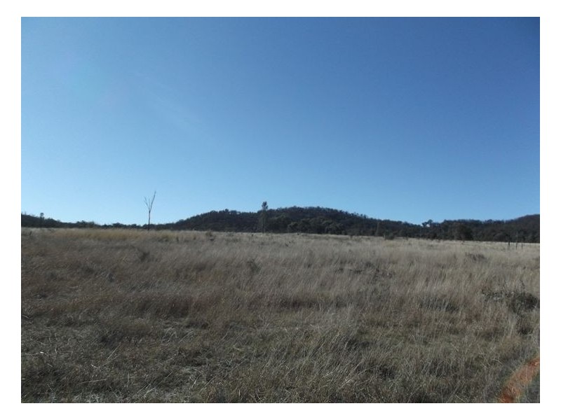 Lot 563 Tarban Road, Tenterfield NSW 2372