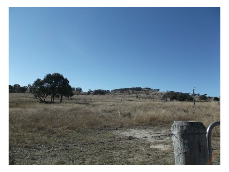 Lot 563 Tarban Road, Tenterfield NSW 2372