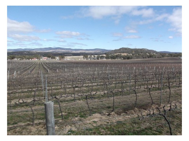 64 St Judes Road, Ballandean QLD 4382