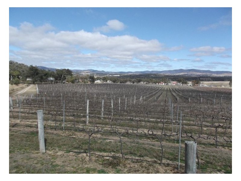 64 St Judes Road, Ballandean QLD 4382