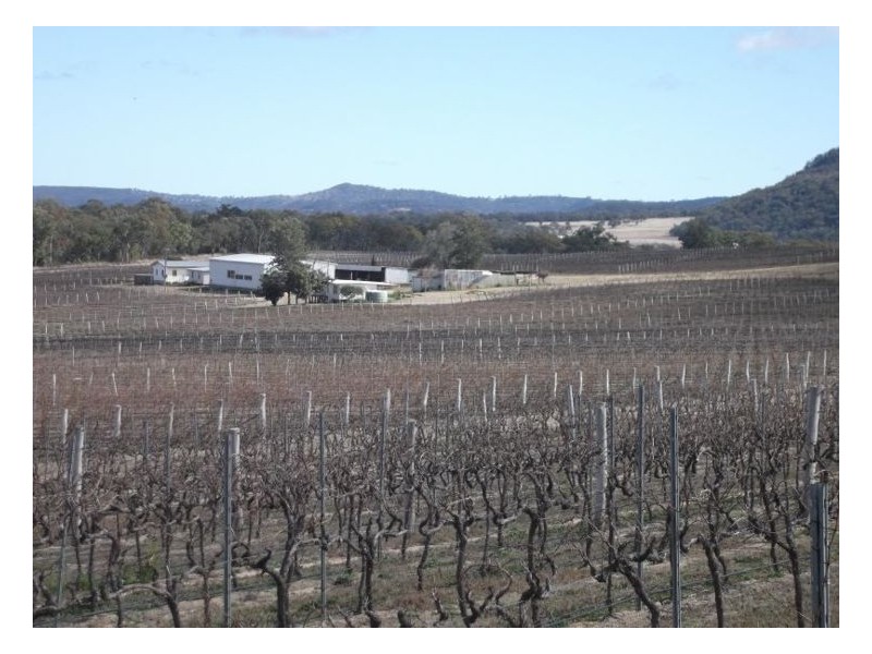 64 St Judes Road, Ballandean QLD 4382