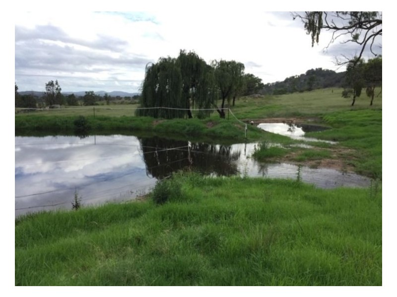 603 Woodside Road, Tenterfield NSW 2372