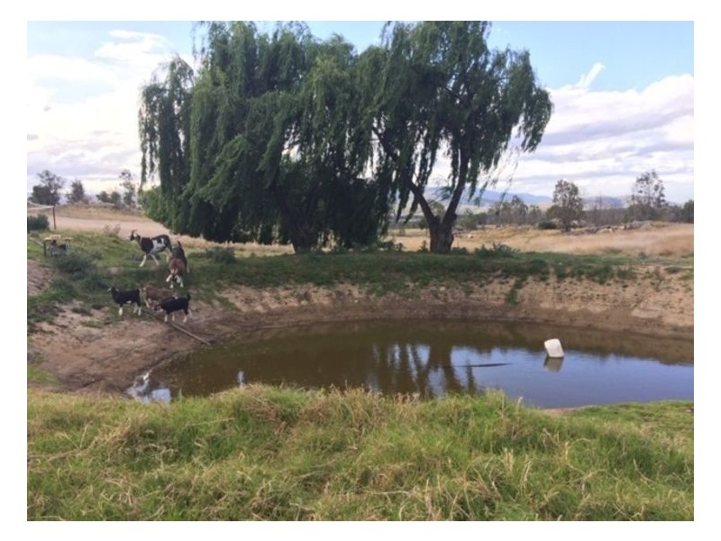 603 Woodside Road, Tenterfield NSW 2372