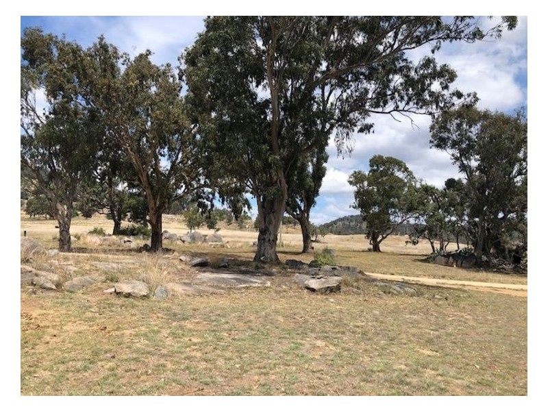 603 Woodside Road, Tenterfield NSW 2372