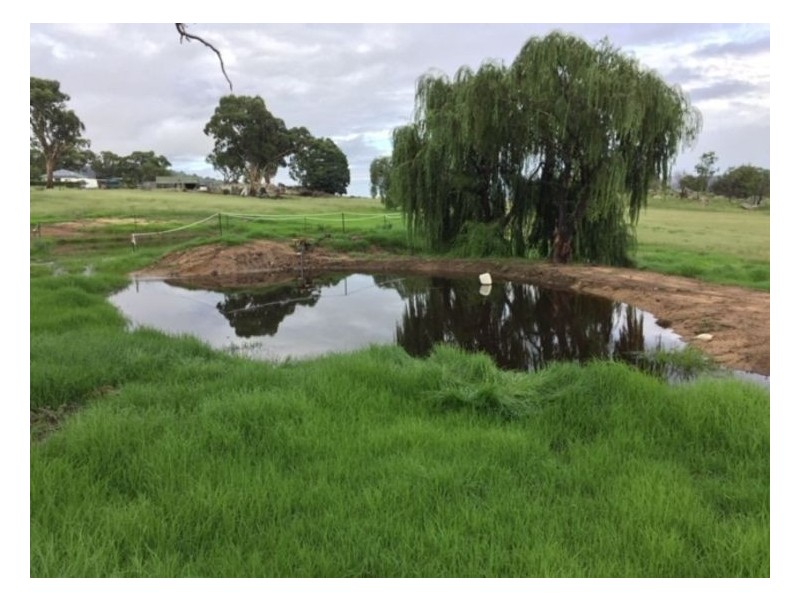 603 Woodside Road, Tenterfield NSW 2372