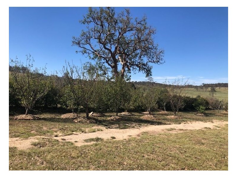 5 Leslie Street, Maryland NSW 4377