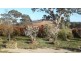 5 Leslie Street, Maryland NSW 4377