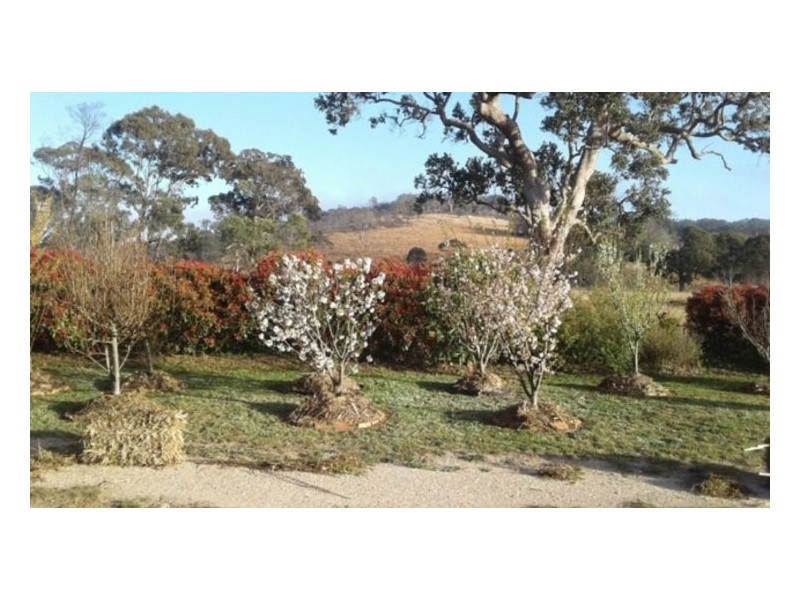 5 Leslie Street, Maryland NSW 4377