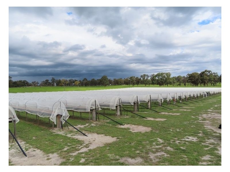 957 Mount Tully Road, Mount Tully QLD 4380