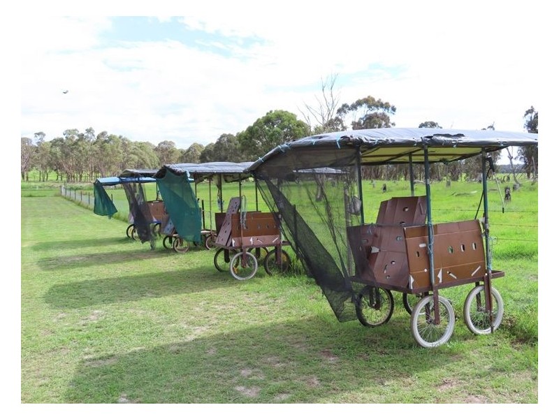 957 Mount Tully Road, Mount Tully QLD 4380