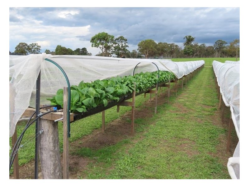 957 Mount Tully Road, Mount Tully QLD 4380