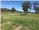 Lot 1 Cameron Road, Dalveen QLD 4374