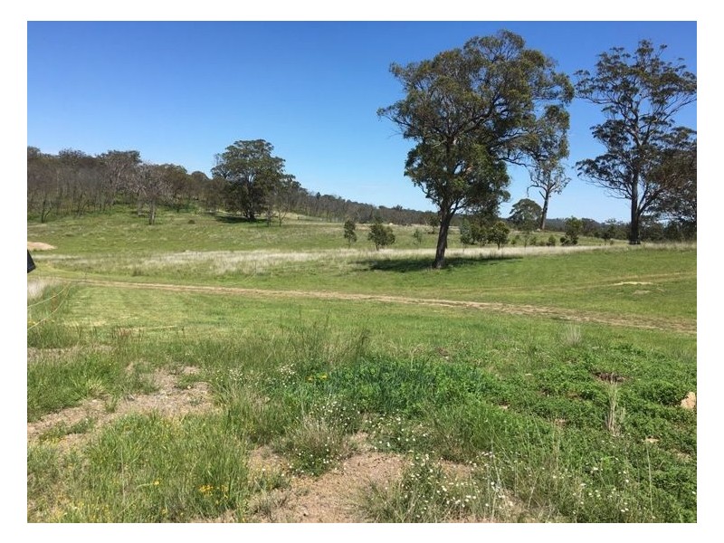Lot 1 Cameron Road, Dalveen QLD 4374