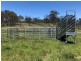 Lot 1 Cameron Road, Dalveen QLD 4374