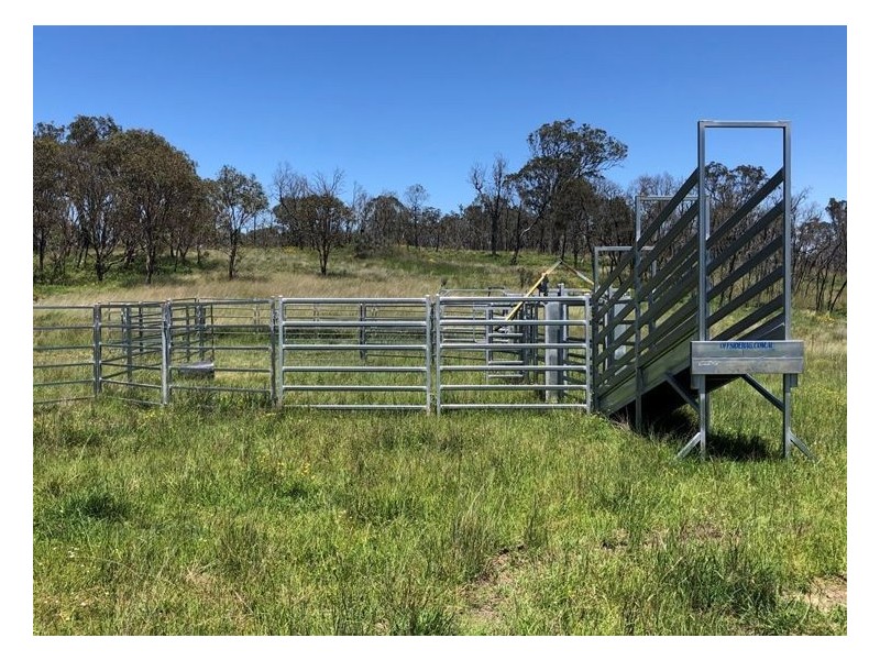 Lot 1 Cameron Road, Dalveen QLD 4374