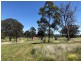 Lot 1 Cameron Road, Dalveen QLD 4374
